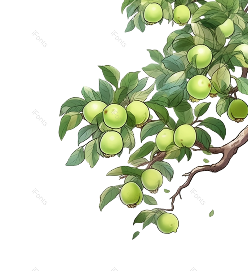 叶子图片,装饰元素,元素PNG,清新免抠素材